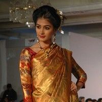 Palam Silk Fashion Show 2011 Pictures